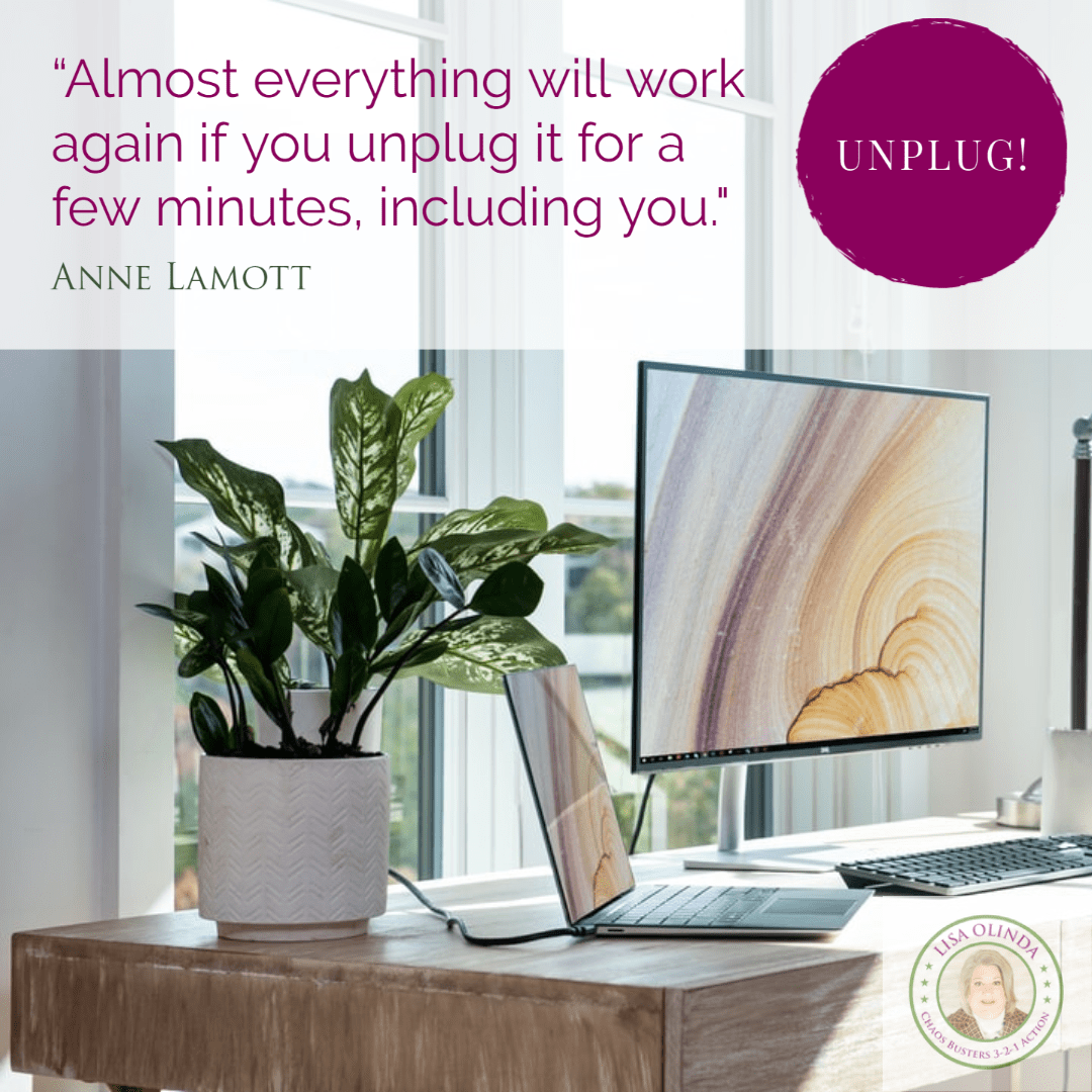 Anne Lamott quote to Unplug