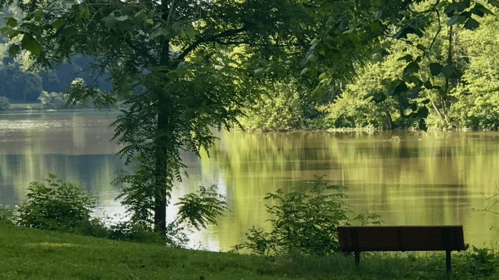 A peaceful bench overlooking a pond, symbolizing the clarity and renewal found through Work-Life Balance Coaching.